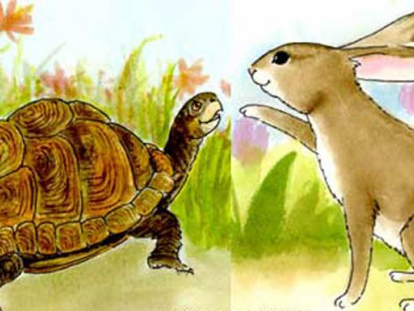 Câu chuyện “Rùa và thỏ” – Bài học kinh doanh chưa bao giờ lỗi mốt