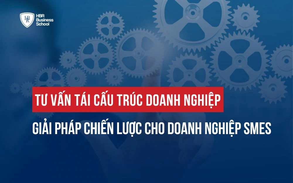 TƯ VẤN TÁI CẤU TRÚC DOANH NGHIỆP: GIẢI PHÁP CHIẾN LƯỢC CHO DOANH NGHIỆP SMES