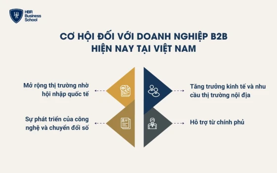 Cơ hội đối với các doanh nghiệp B2B hiện nay tại Việt Nam