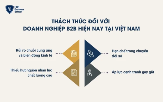 Thách thức đối với doanh nghiệp B2B hiện nay tại Việt Nam