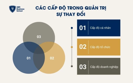 Các cấp độ trong quản trị sự thay đổi