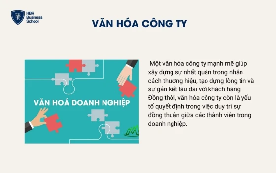 Văn hóa công ty