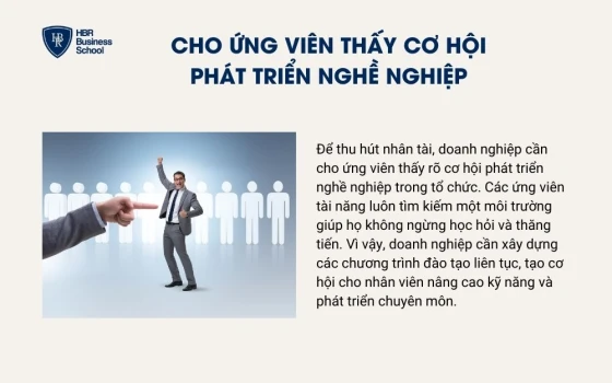 Cho ứng viên thấy cơ hội phát triển nghề nghiệp