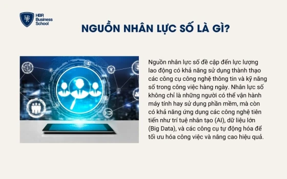 Nguồn nhân lực số là gì?