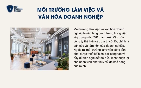 Môi trường làm việc và văn hóa doanh nghiệp