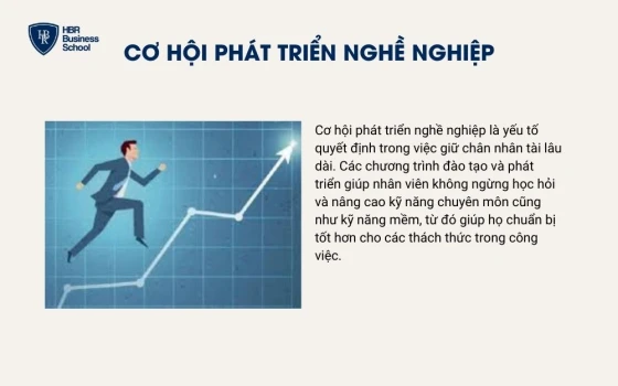 Cơ hội phát triển nghề nghiệp