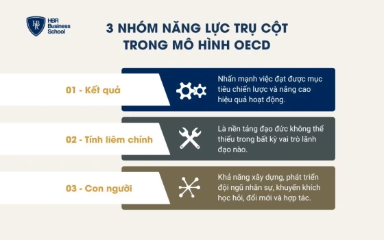 3 nhóm năng lực trụ cột trong mô hình OECD