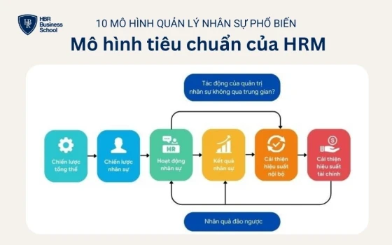 Mô hình nhân quả tiêu chuẩn của HRM