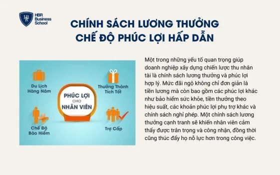 Chính sách lương thưởng, chế độ phúc lợi hấp dẫn