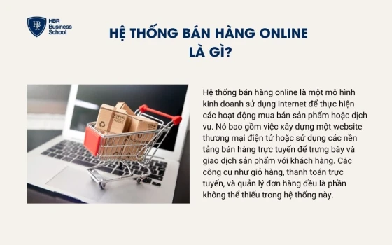 Hệ thống bán hàng online là gì?