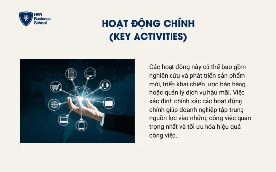Hoạt động chính