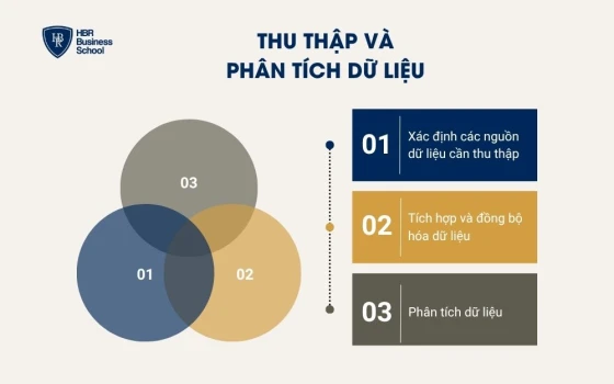 Thu thập và phân tích dữ liệu