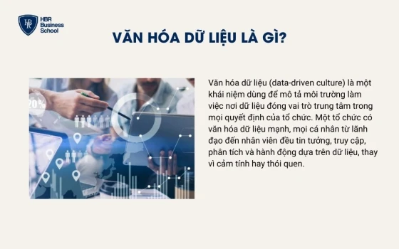 Văn hóa dữ liệu là gì?