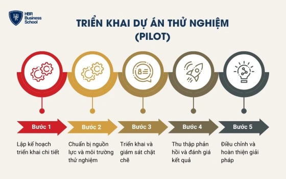 Triển khai dự án thử nghiệm (pilot)