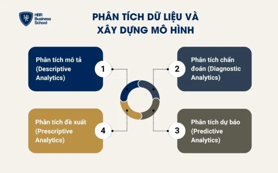 Phân tích dữ liệu và xây dựng mô hình