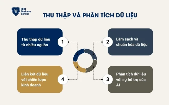 Thu thập và phân tích dữ liệu
