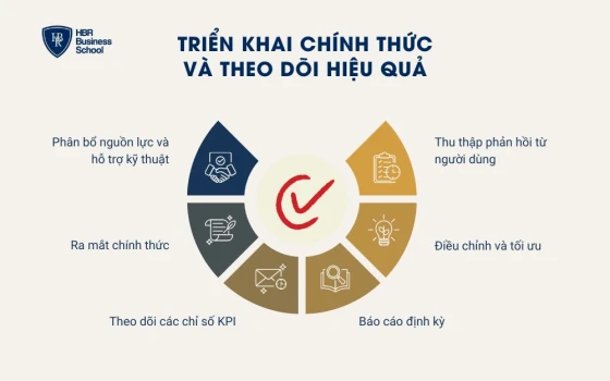 Triển khai chính thức và theo dõi hiệu quả