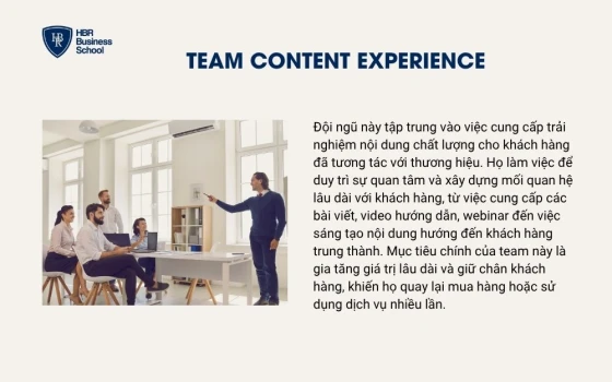Team content experience