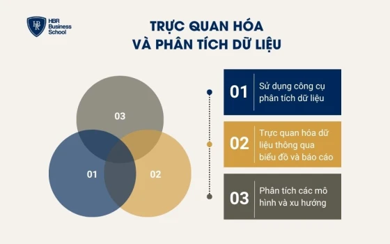 Trực quan hóa và phân tích dữ liệu