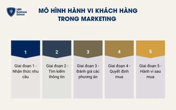 Mô hình hành vi khách hàng trong marketing