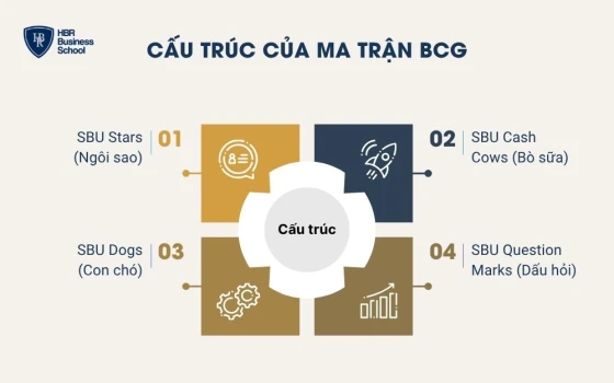Cấu trúc của ma trận BCG