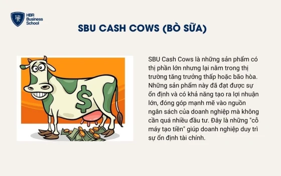 SBU Cash Cows (Bò sữa)