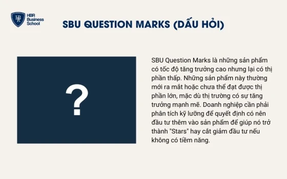 SBU Question Marks (Dấu hỏi)
