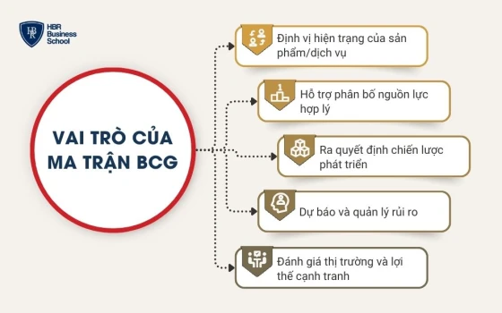 Vai trò của ma trận BCG