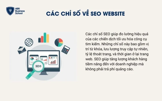 Các chỉ số về SEO website
