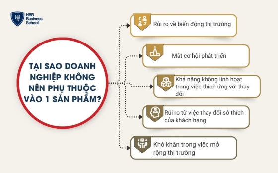Tại sao doanh nghiệp không nên phụ thuộc vào 1 sản phẩm?