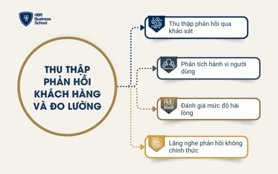 Thu thập phản hồi khách hàng và đo lường