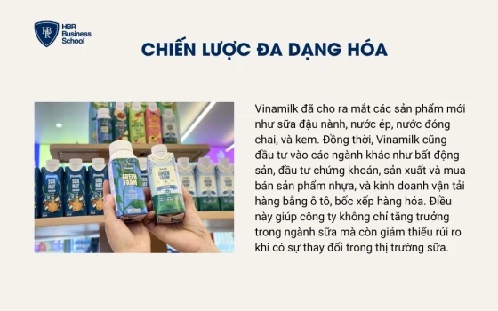 Chiến lược đa dạng hóa