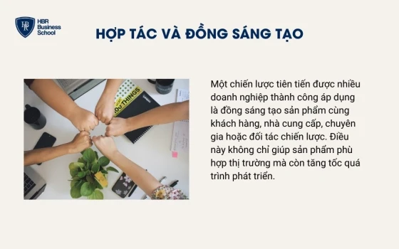 Hợp tác và đồng sáng tạo