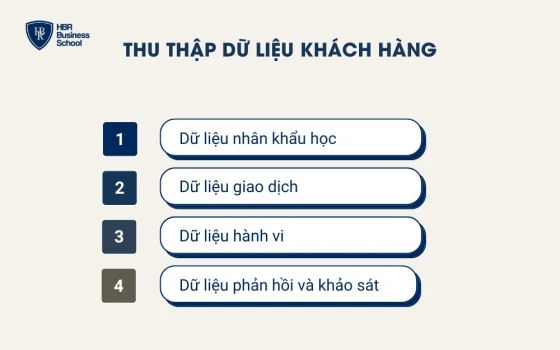 Thu thập dữ liệu khách hàng