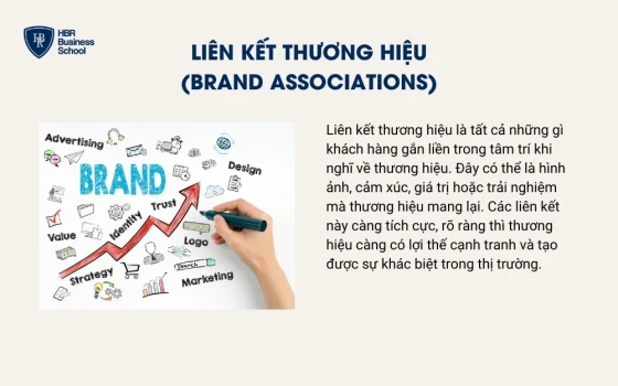 Liên kết thương hiệu (Brand Associations)