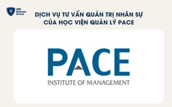 Dịch vụ tư vấn quản trị nhân sự của Học viện quản lý PACE