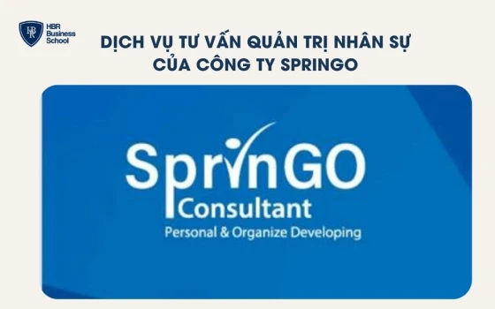 Dịch vụ tư vấn quản trị nhân sự của công ty SprinGO