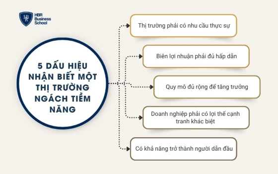 5 Dấu hiệu nhận biết một thị trường ngách tiềm năng