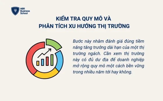 Kiểm tra quy mô và phân tích xu hướng thị trường