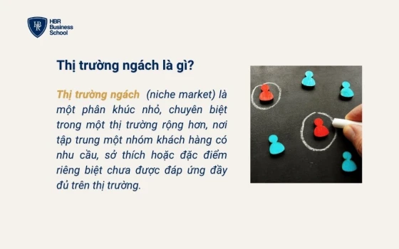 Tìm hiểu thị trường ngách là gì và tầm quan trọng