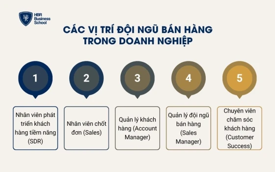Các vị trí trong đội ngũ bán hàng doanh nghiệp