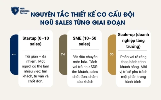 Nguyên tắc thiết kế cơ cấu đội ngũ sales từng giai đoạn