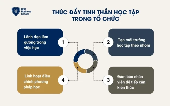 Thúc đẩy tinh thần học tập trong tổ chức