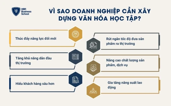 Vì sao doanh nghiệp cần xây dựng văn hóa học tập?