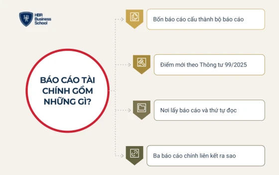 Báo cáo tài chính gồm những gì?
