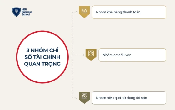 Các chỉ số tài chính quan trọng rút ra từ bảng cân đối kế toán