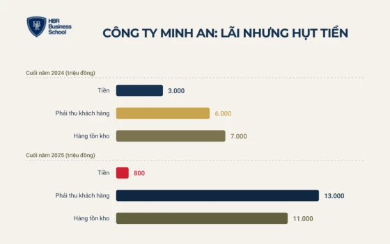 Ví dụ áp dụng cách đọc báo cáo tài chính cho doanh nghiệp SME