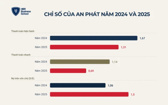 Ví dụ phân tích bảng cân đối kế toán của doanh nghiệp SME